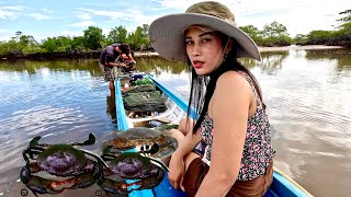 First Time I Go Catching Mud Crabs In The Ocean Mangrove Forest