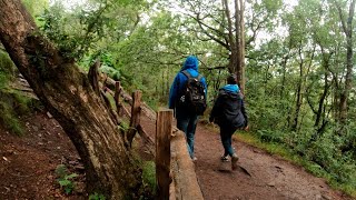 Lud's Church Gorge | Three Shires Head | Peak District in England | 4K