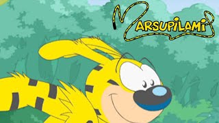 Marsupilami : Season 2, Episode 4 - Roller Dance ⚡