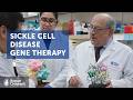 Gene therapy for sickle cell disease: The journey to a new treatment | Boston Children's Hospital