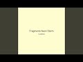 Fragments Neon Storm
