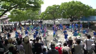 2014 5 31 犬山踊芸祭　犬山駅東広場（からくり）会場 日本福祉大学　夢人党