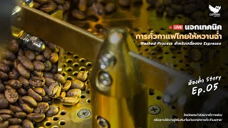 แจกเทคนิคหา Profile การคั่วกาแฟไทยให้หวานฉ่ำ Washed Process สำหรับเครื่องชง Espresso | EP.05