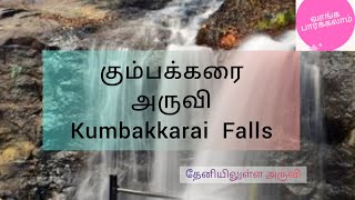 கும்பக்கரை அருவி | Kumbakkarai Falls | தேனி | Theni #theni #falls #waterfalls #tamilnadu #travel