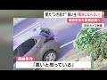 6歳娘と散歩中に車にはねられ死んだ愛犬 飼い主「娘は『会いたい』と…」高齢男性を特定も「解決にならない」