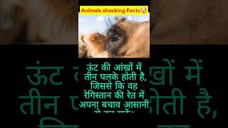 🤯 क्या होगा अगर चमगादड़ काट ले 😵 shocking fact 😳 wait for end #shorts #youtubeshorts #viral #facts