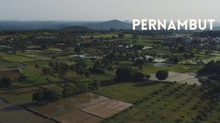 Drone Shots in 4K | Pernambut Outskirts | DJI Mini 2