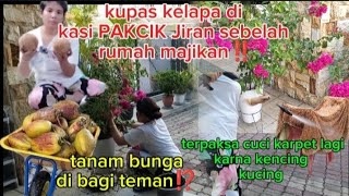 KUPAS KELAPA SATU TROLI YNG DI KASI PAKCIK JIRAN SEBELAH RUMAH MAJIKAN SAYA ‼️