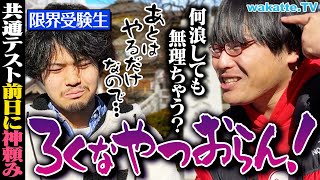 【激ヤバ】共テ前日に神頼みしてる受験生ろくでもない説を検証！in湯島天神【wakatte TV】#1002