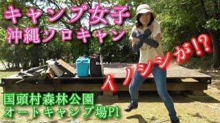 【キャンプ女子】国頭村森林公園オートキャンプ場P1♡完ソロの私のテントにいのししが。。。333