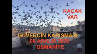 GÜVERCİN KARIŞMASI MUHTEŞEMDİ -  OSMANİYE - KAÇAK VAR - 6 ARALIK 2020