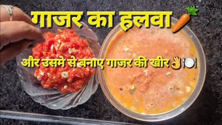 Instant Carrot halwa \u0026 kheer | फटाफट गाजर का हलवा और खीर | Two recipes from same ingredients