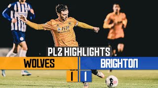 Ashley-Seal scores his twelfth of the season! | Wolves 1-1 Brighton & Hove Albion | PL2 Highlights