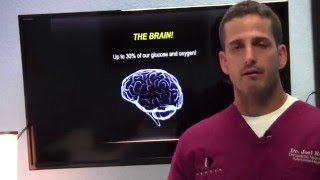 Brain Based Therapy For Brain Decline, Brain Fog, Concentration, Anxiety in Boca Raton