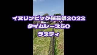 イヌリンピック桜花祭2022 タイムレース50 ラスティ