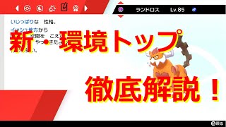 【ポケモン剣盾】霊獣ランドロスのおすすめの型、調整、対策について徹底解説【育成論】