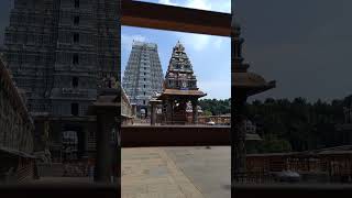 Arunachala temple darshan అరుణాచల పుణ్య క్షేత్ర దర్శనం || Arunachala Siva