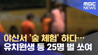 야산서 '숲 체험' 하다…유치원생 등 25명 벌 쏘여 (2021.07.14/뉴스투데이/MBC)