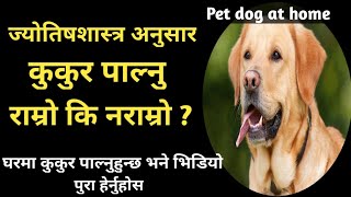 कुकुर पाल्नु राम्रो कि नराम्रो ? l Pet Dog at home l benefits of dog