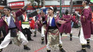 2016　浜松がんこ祭（有楽街）総踊り「GANKO!!」Meetiα　心結　他