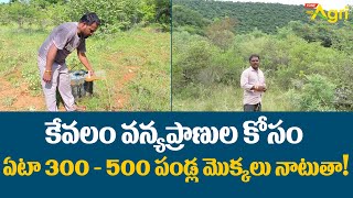 Fruit Tree Plantation | కేవలం వన్య ప్రాణుల కోసం ఏటా 300-500 పండ్ల మొక్కలు నాటుతా..!! Tone Agri