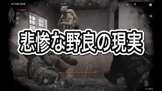 野良が非推奨なことが全て詰まってます【アリブレ】アリーナブレイクアウト