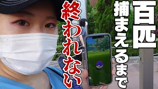 ポケカ最新弾で負けたらポケモンGO『100匹捕まえるまで終われない』チャレンジとかこの暑さで鬼畜すぎるんだがwww【Pokémon GO】