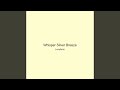 Whisper Silver Breeze