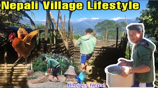 Nepali Village LifeStyle | Village Vlog | Nepali Village | Feeding Pork | Dingla Bhojpur Nepal |