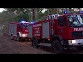 rund 1000 qm waldbrand mit pendelverkehr und monitoreinsatz tiefensee 28.08.2018