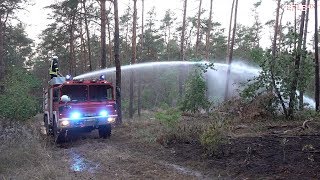 Rund 1000 qm Waldbrand mit Pendelverkehr und Monitoreinsatz Tiefensee [28.08.2018]