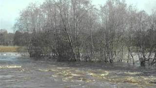 Kyrönjoki 16.04.2011.wmv