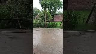 hamare gaav me barish ho rhi hee #sorts #video