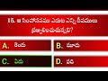 telugu bible quiz revelation 4th chapter prakatana grandham bible quiz