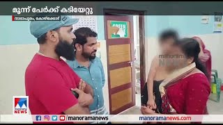 കോഴിക്കോട് നാദാപുരത്ത് തെരുവുനായയുടെ ആക്രമണം; 3 പേർക്ക് പരുക്ക് | Kozhikode Stray Dog Attack