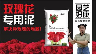 【Baba园艺好康】 怎样种玫瑰花才能开花不断？小姐姐为你推荐最适合玫瑰花的泥土，为爱你的人种上一盆玫瑰吧！| Baba玫瑰花专用泥土