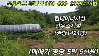 시퀀스 03 1 매물 29번  경북 의성군 안사면 싼땅 1424평 평당 5만5천원#경북부동산 #의성부동산 #영천부동산 #안동부동산 #군위부동산