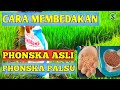 Cara membedakan pupuk phonska asli dan palsu