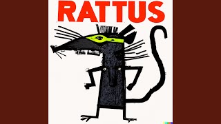 Rattus P Rattus Raises a Ruckus