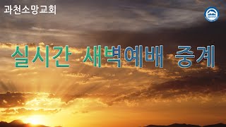 과천소망교회 새벽예배 실시간 2024년8월26일