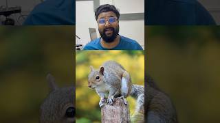 മൈക്രോവേവ് ഓവൻ കണ്ടുപിടിച്ച അണ്ണാൻ😱| oven discovered by squirrel | Percy spencer |history #squirrel