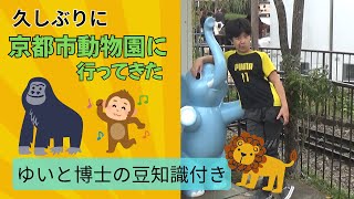 久しぶりに京都市動物園へ行ってきた！｜【とてとてfamily】