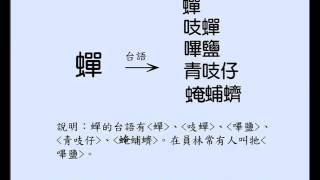 蟬的台語怎麼說？