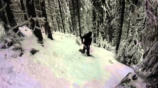 Свободно спускане със сноуборд/snowboardBezBogForest2