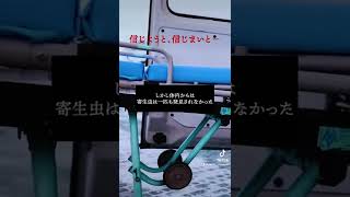 【TikTok総再生2000万】究極の痩せ薬　#信じようと信じまいと #都市伝説 #怖い話  #shorts