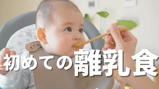 初めての10倍がゆ・にんじん・ほうれん草でまさかの…😳【離乳食】