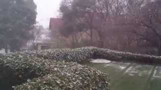 Heavy Snow at Knockando Residence 2012.mp4