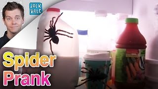 Spider Prank | Jack Vale