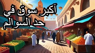 جولة في حد السوالم داكشي واعر