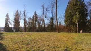 26520 96 Ave. Maple Ridge, BC